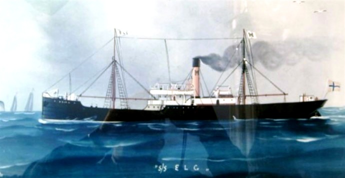 RIS41019010120001 ELG