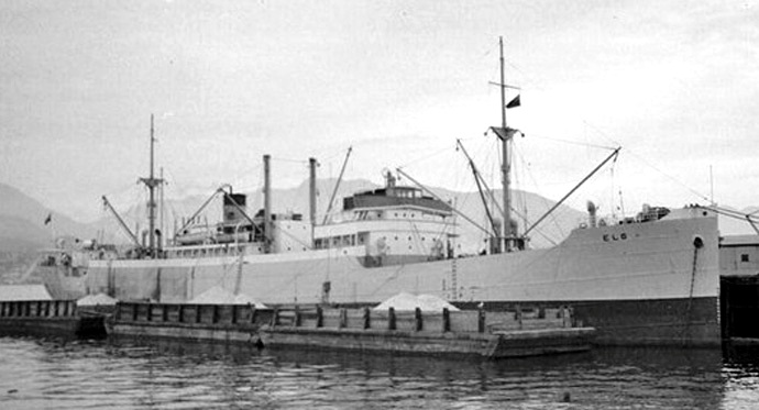 RIS41019300120001 ELG