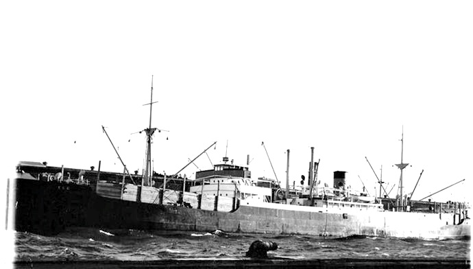 RIS41019300120002 ELG