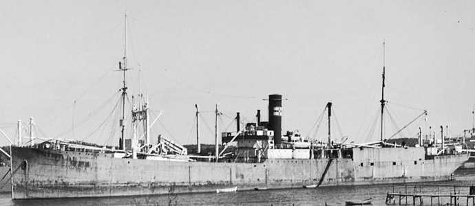 SFJ00119300220003 FRATERNITAS