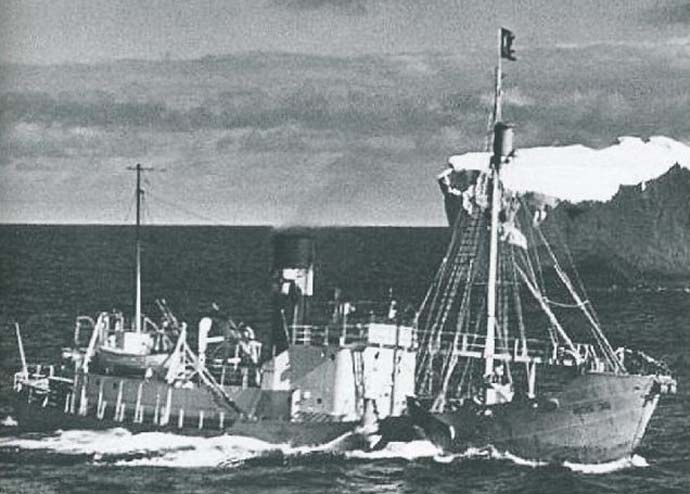 SFJ00119470620001 KOS 35