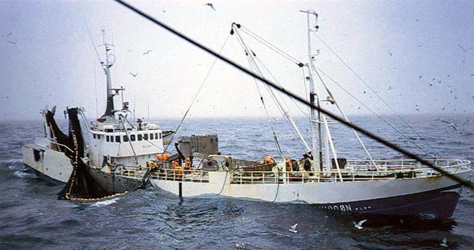 SFJ00119470920005 KOS 38