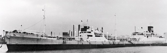 SFJ00119480720001 JAN