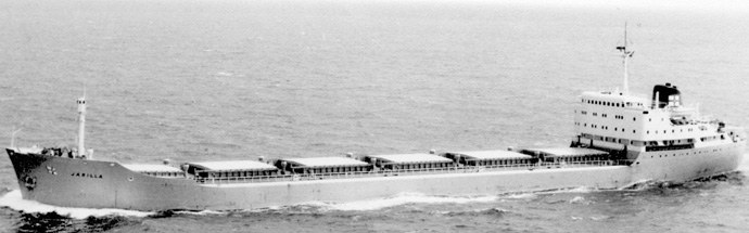 SFJ00119590220001 JARILLA