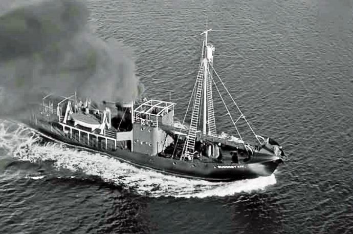 SFJ00119590620001 SUD