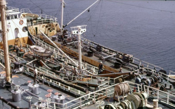 SFJ00119680120015 JANOVA