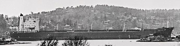 SFJ00119810220002 JARACONDA