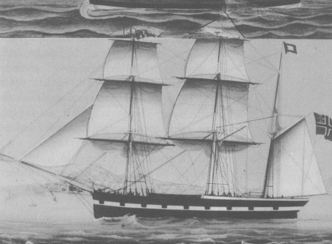 SFJ00218460220001 Havfruen