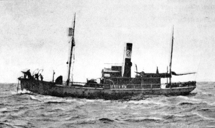 SFJ00219040320001 Hauken