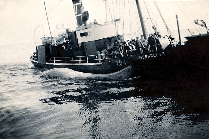 SFJ00219080420001 SNORRE