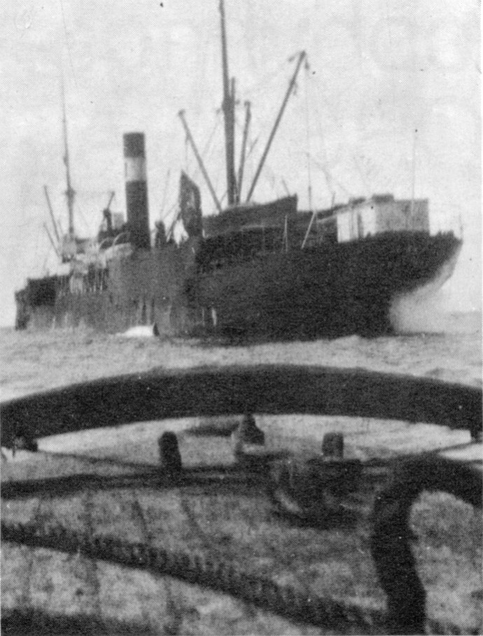 SFJ00219210220003 FALK