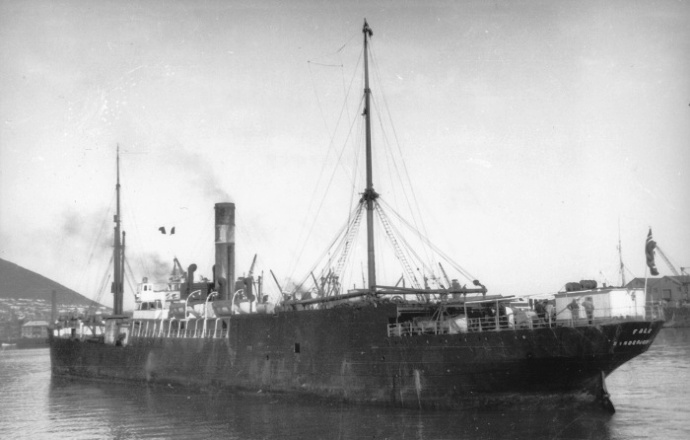 SFJ00219210220005 FALK