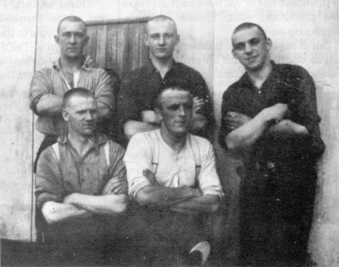 SFJ00219210255002 FALK