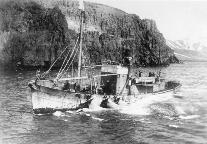 SFJ00219250420001 TORDONN.JPG