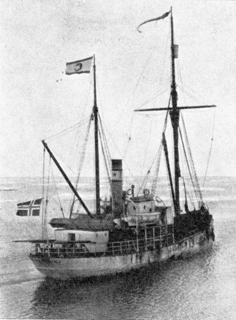 SFJ00219270120001 NORVEGIA