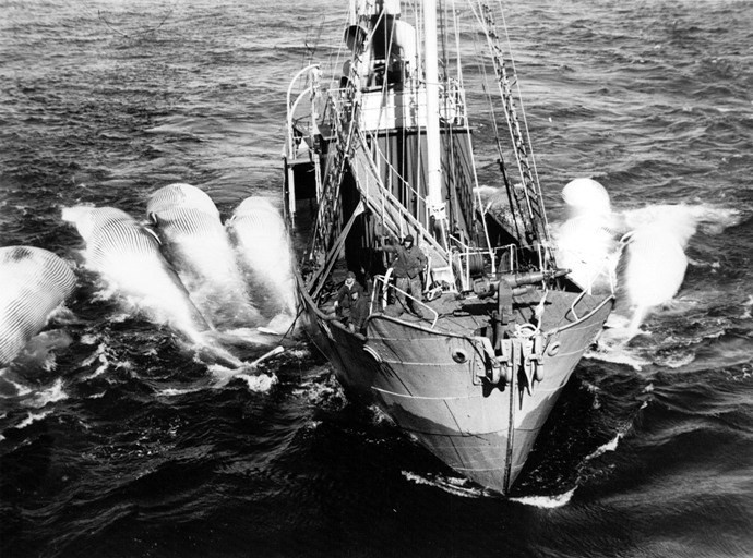 SFJ00219290120001 THORFIN.JPG
