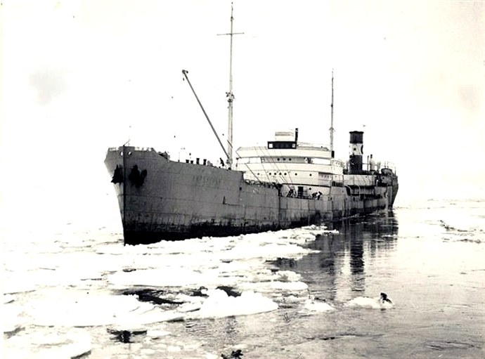 SFJ00219300220001 THORSHOLM