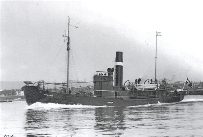 SFJ00219301120001 TREERN.JPG
