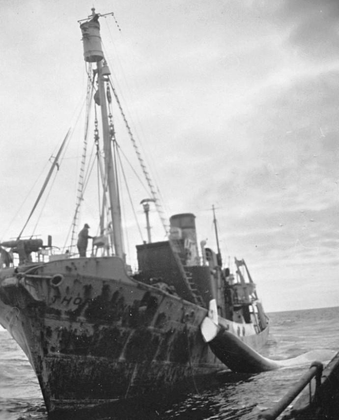 SFJ00219470420002 THORBRANN