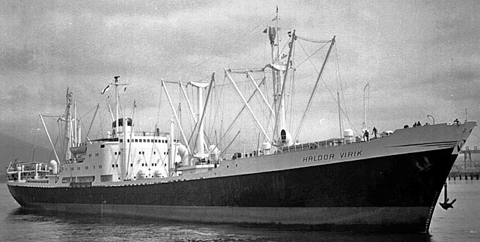 SFJ00419580120001 HALDOR VIRIK