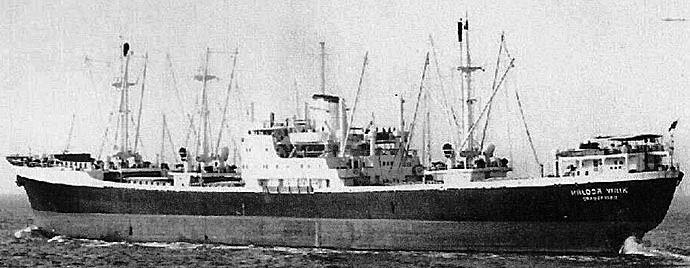 SFJ00419580120002 HALDOR VIRIK