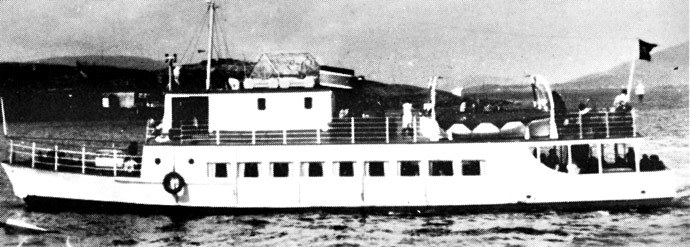SNS10319460120001 TOMMA