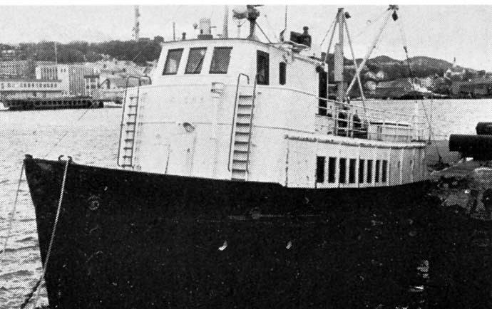 SNS10319680220001 SJONA