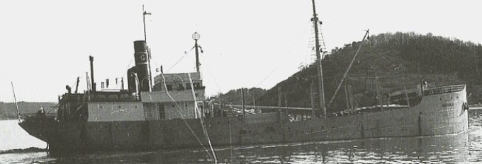 SKN27219190220001 BRAS