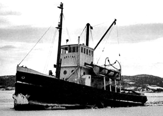 SKN27119000120001 GOLIATH