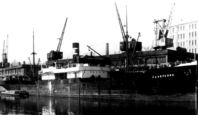 SKN27119320120001 HAARFAGRE