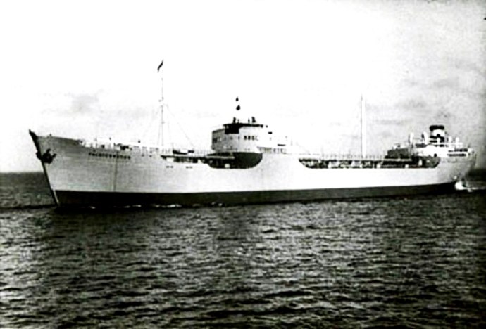 SKN27119550120001 HAVLIDE