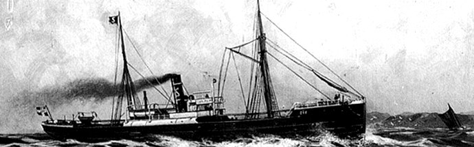 SKN27619150220001 VENUS