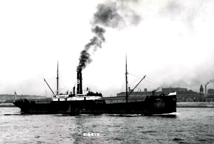 SKN27619200220001 NYSTRAND
