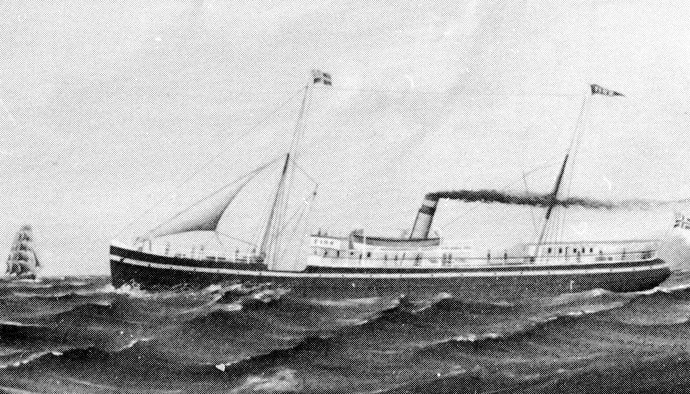 SKN29219060120001 FINN