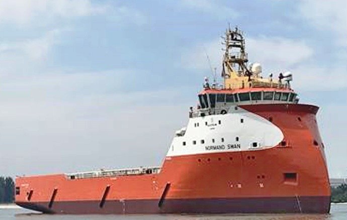 SKU10020191220001 NORMAND SWAN