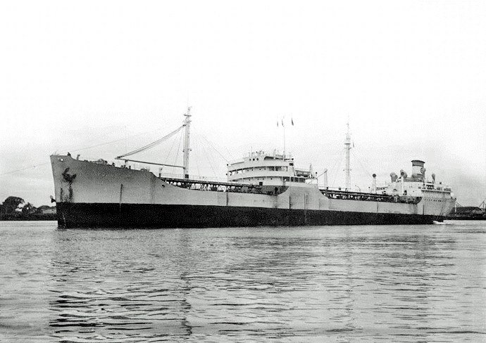 STG10619480120001 LIFJORD
