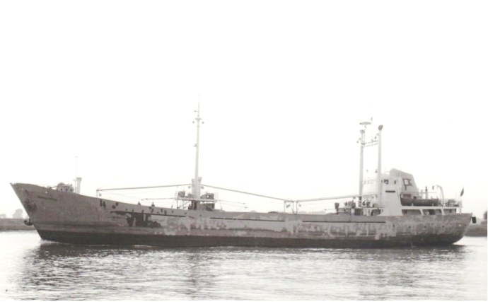 STG11419730120001 ARNE VIK