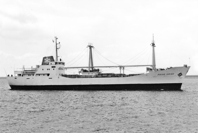 MLE91619640120001 POLAR VIKING