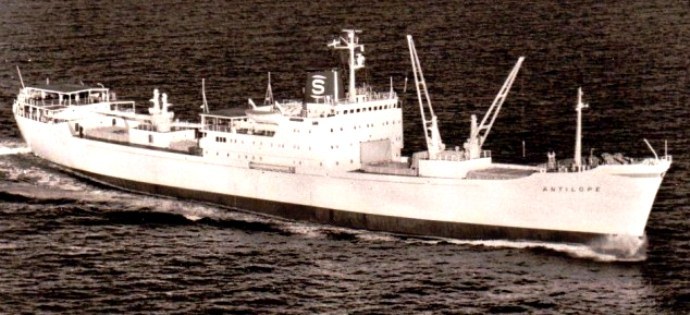 STH91619640120001 ANTILOPE