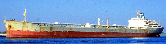TBG10219650120001 MINORU