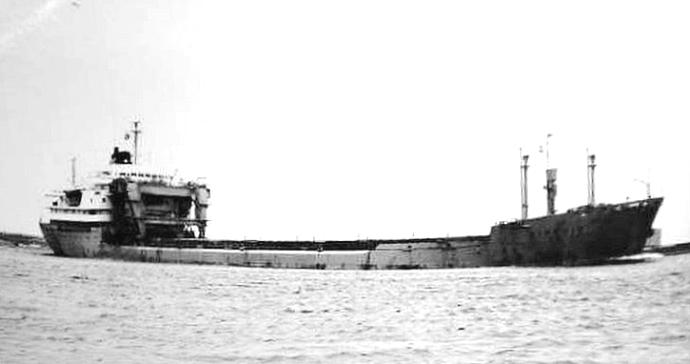 TBG10719630120001 FINSHIP