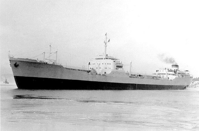 TBG10719640120001 FINNSKOG