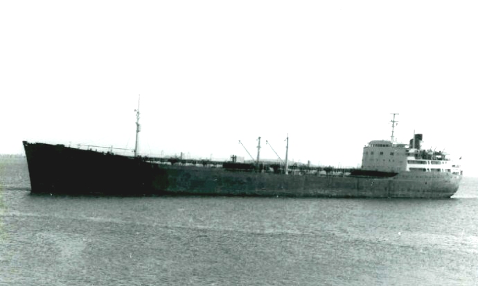 TBG11119590120001 BELMAR