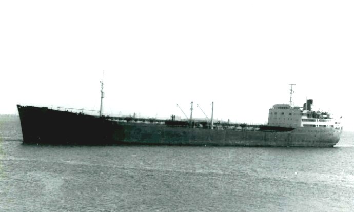 TBG11119590120001 BELMAR