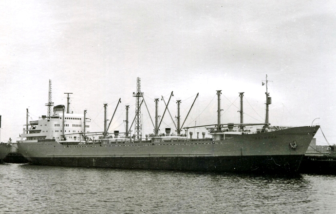 TBG11119620220002 BELMONA