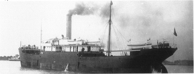 TBG11719080120001 VIKING  