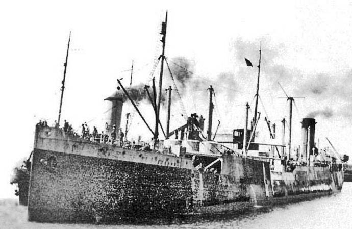 TBG11819280220002 STROMBUS