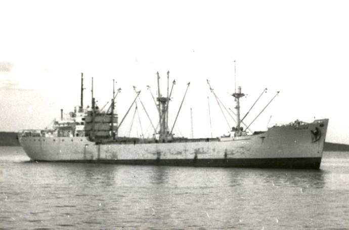 LTK00119470120001 PALMA