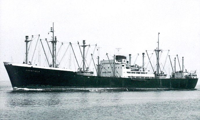 LTK00119480620001 FERNFIELD