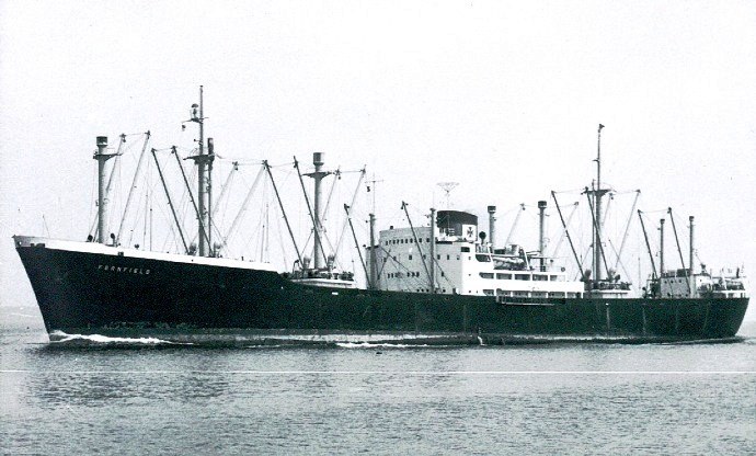 LTK00119480620001 FERNFIELD